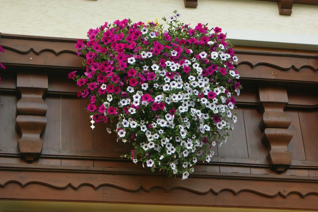 Gaestehaus Kuebler Екстер'єр фото